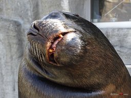 Tiergarten Schönbrunn am 23.03.2023